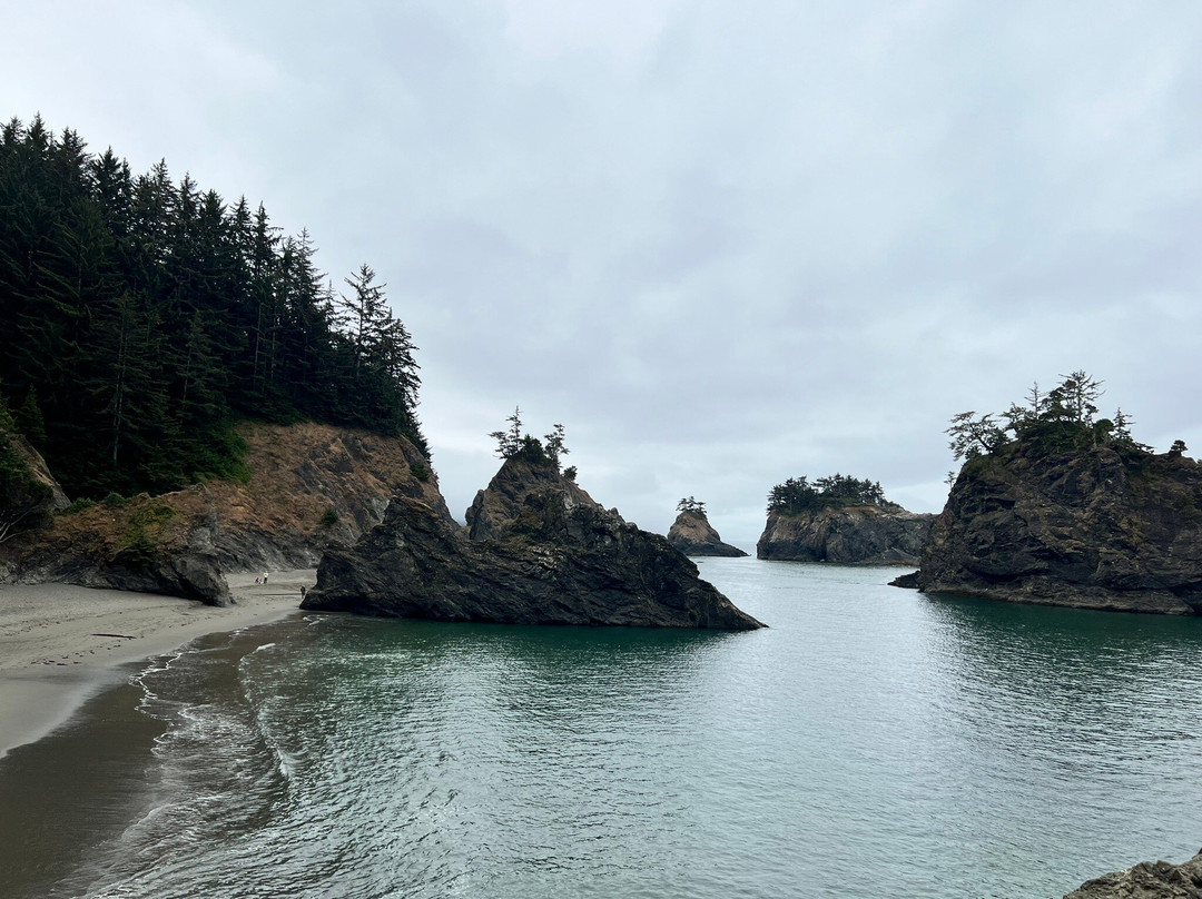 Secret Beach-布鲁金斯必去景点