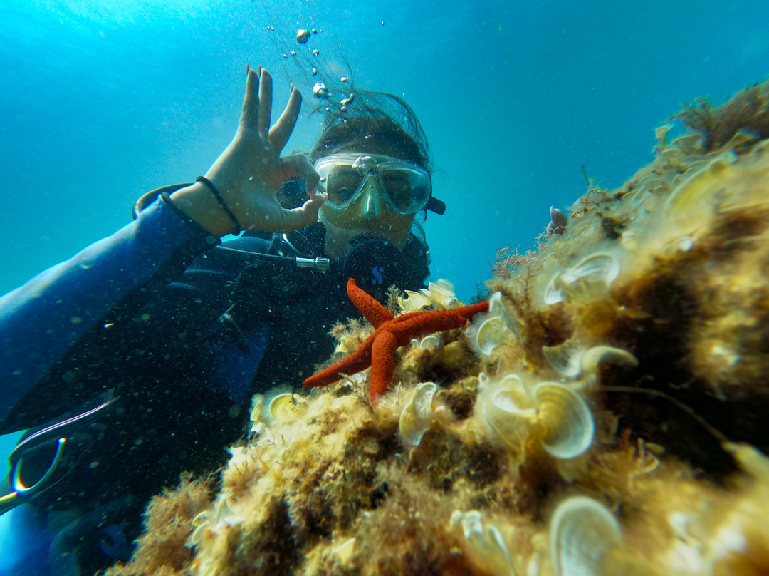 OceanoMare Diving Center景点图片