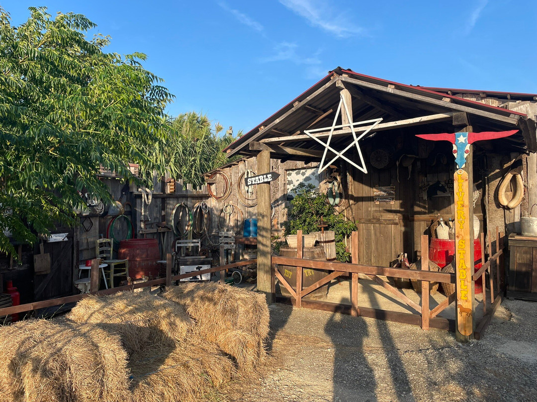 Buffalo Bill Western City景点图片