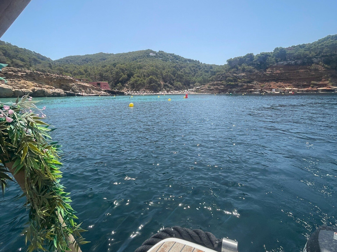 Daydream Boats Ibiza景点图片