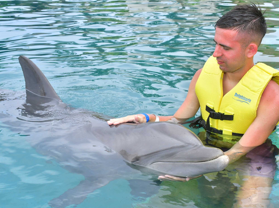 Dolphinaris Tulum景点图片