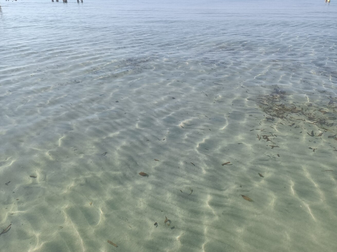 Spiaggia di Tonnarella-马扎拉－德尔瓦洛必去景点