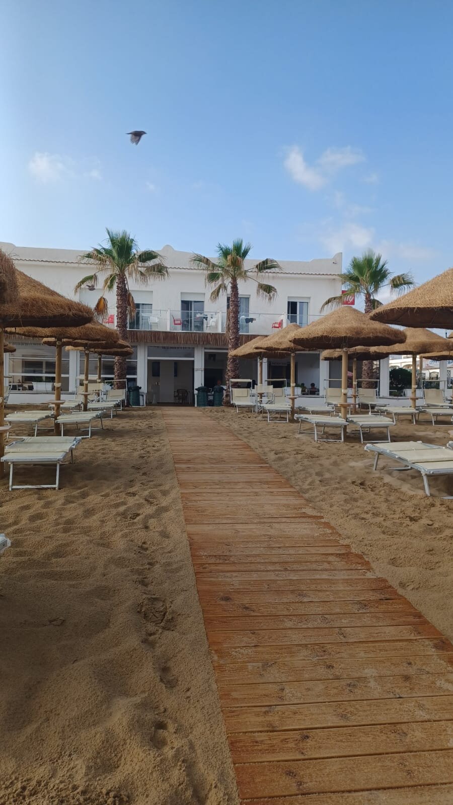 Albergo Lido Diomedee-浴室