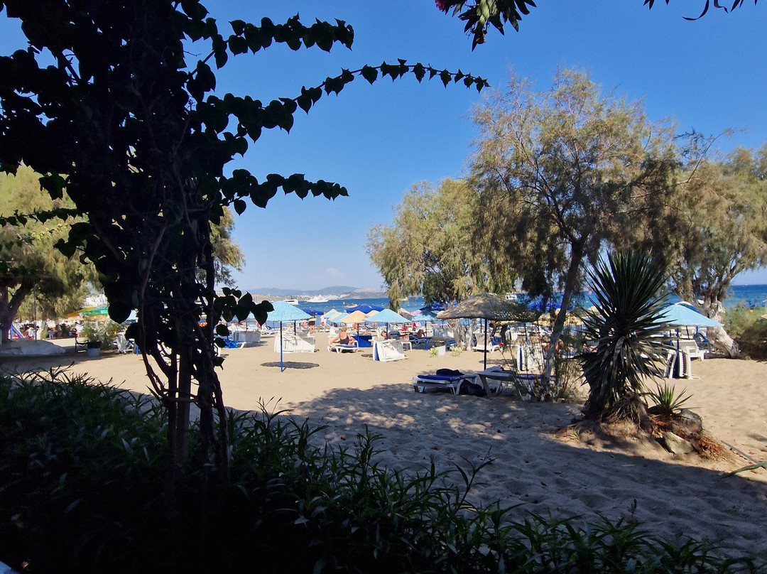 Camel Beach景点图片