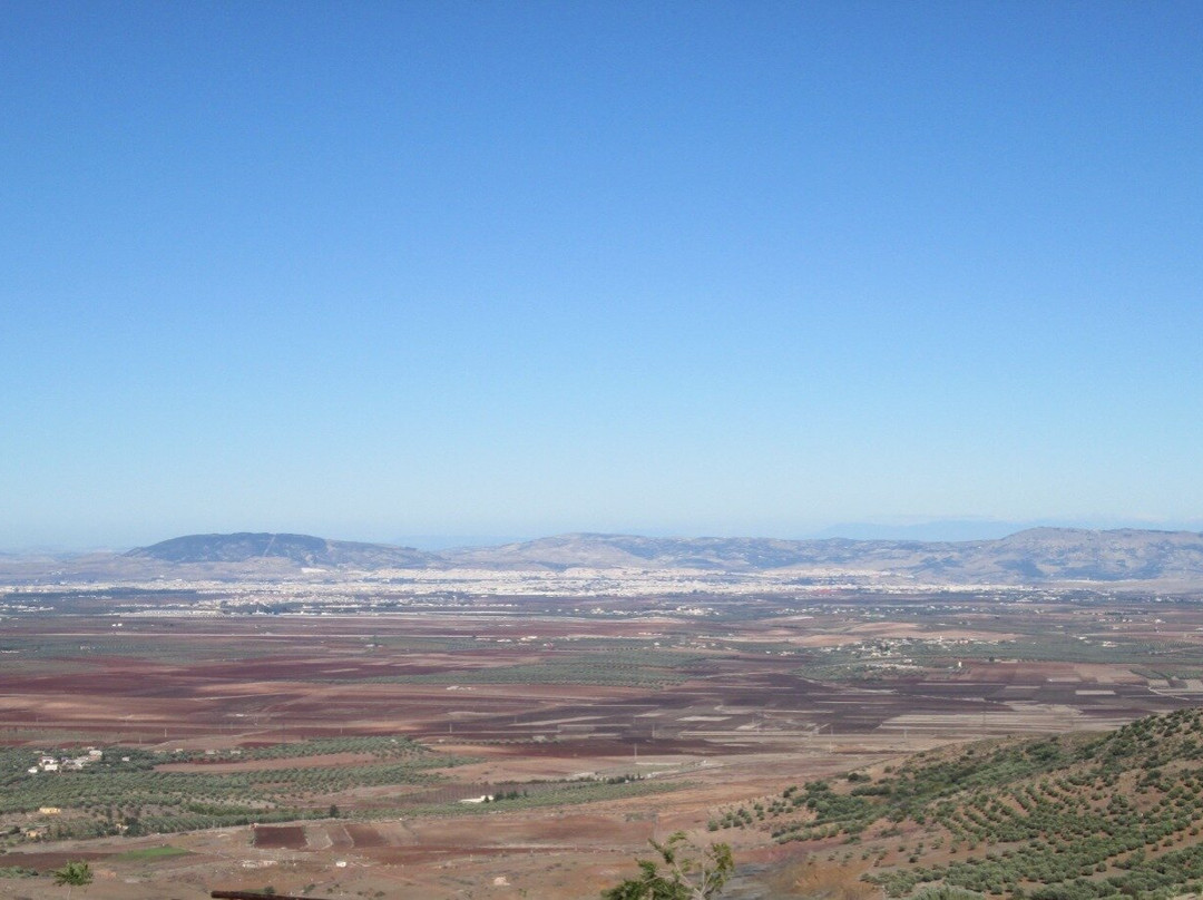 Dar El Mandar Farm主图