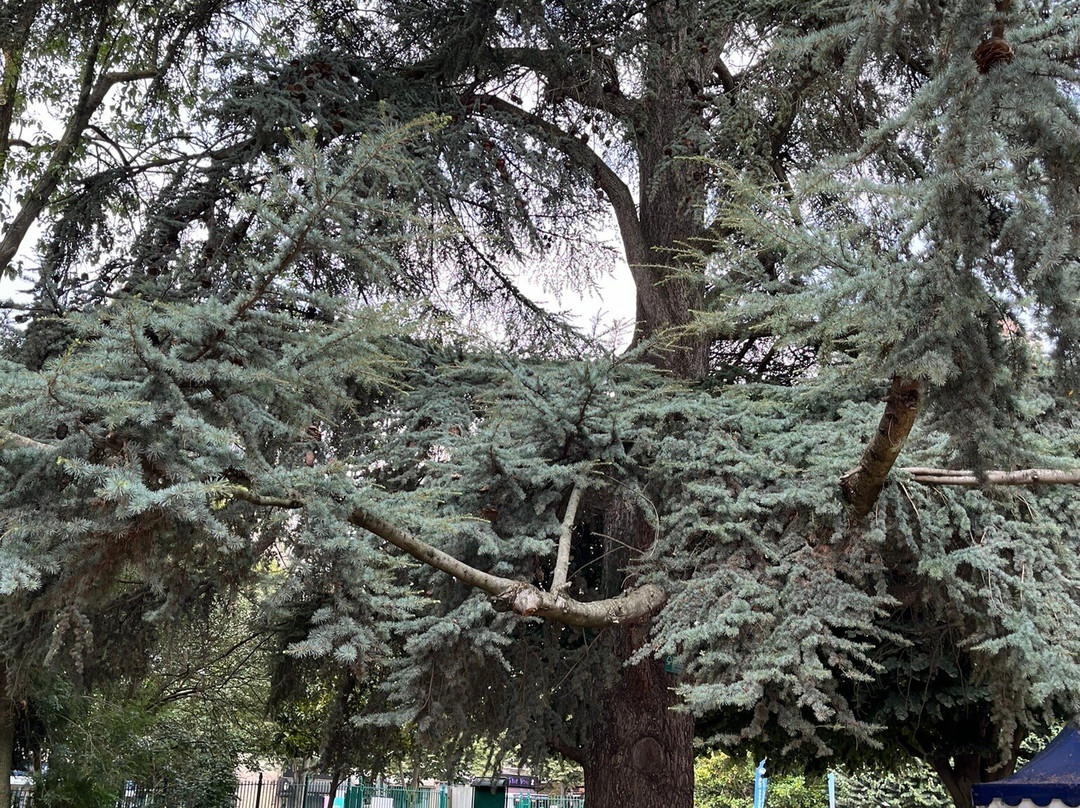 Parc de Choisy景点图片