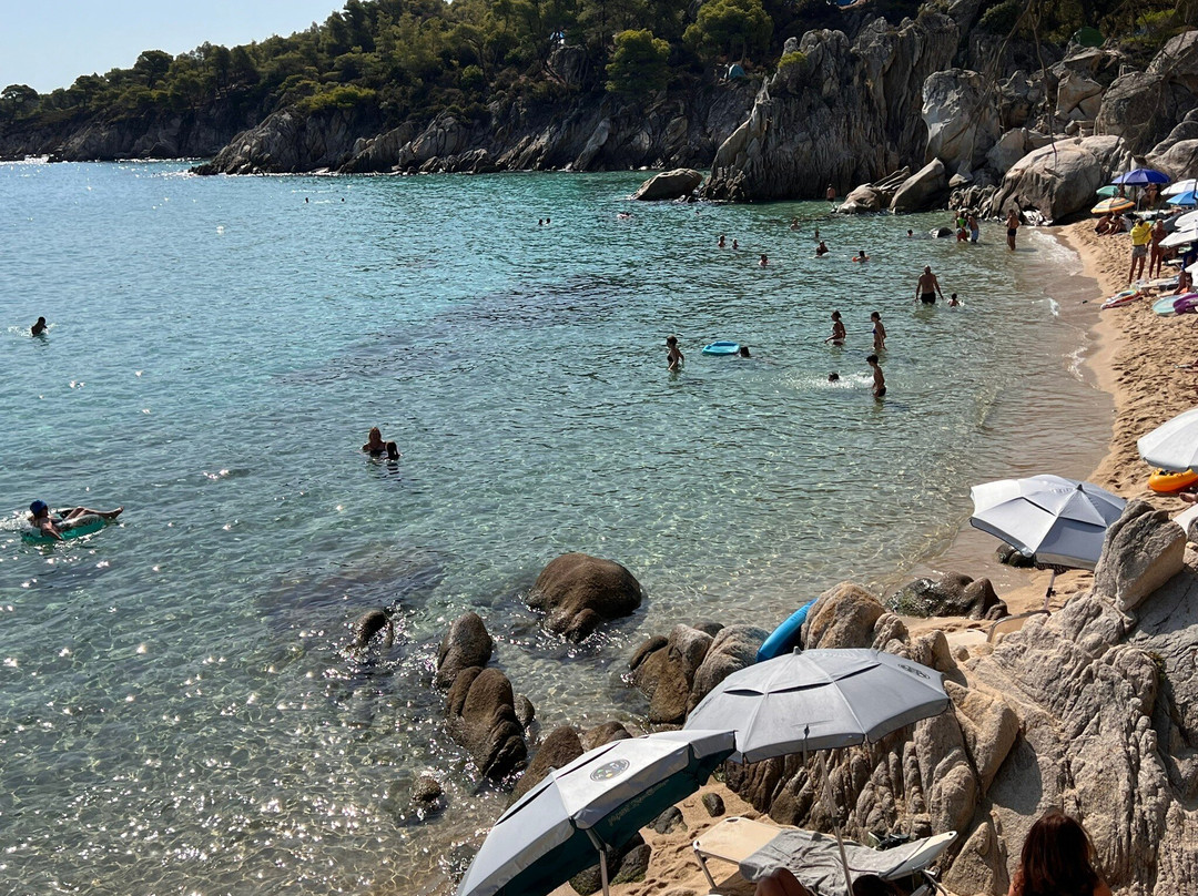 Paradise Beach Kavourotrypes景点图片
