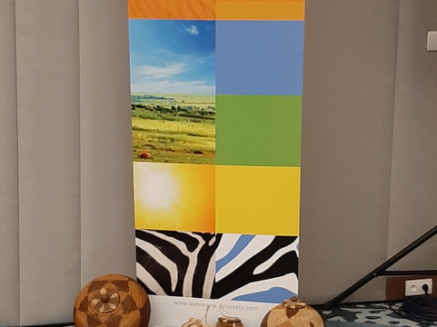 布鲁塞尔唐拉雅秀酒店主图