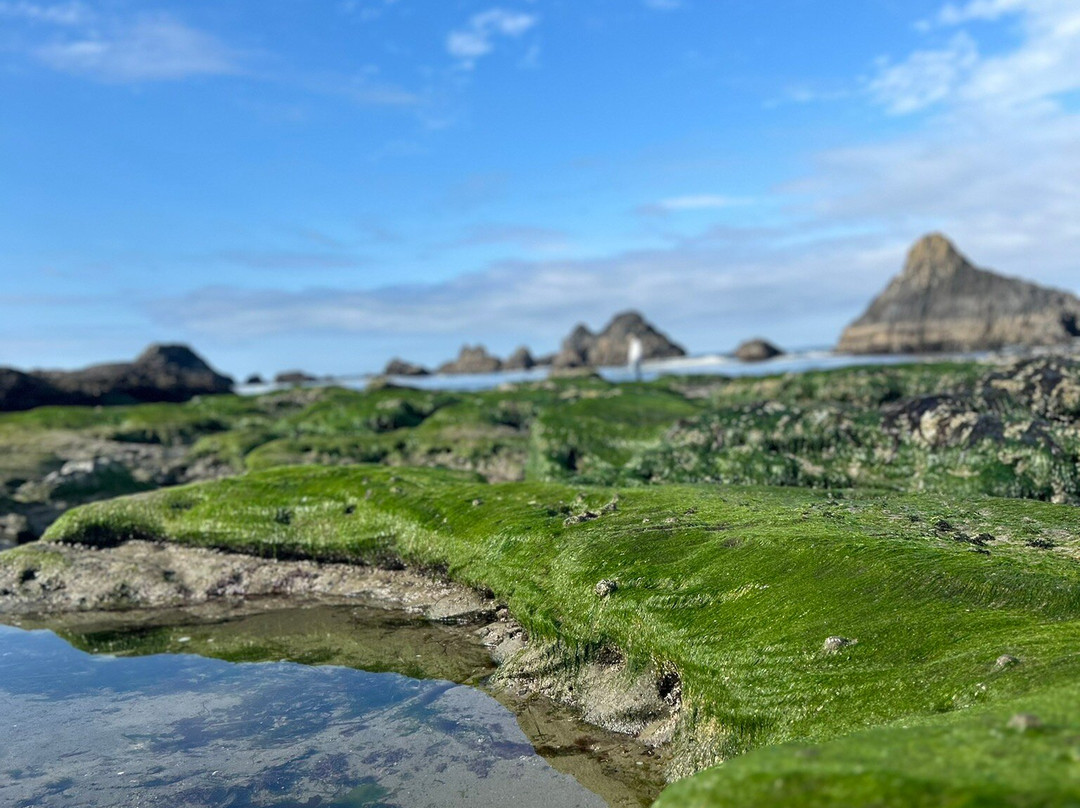 Seal Rock State Park景点图片