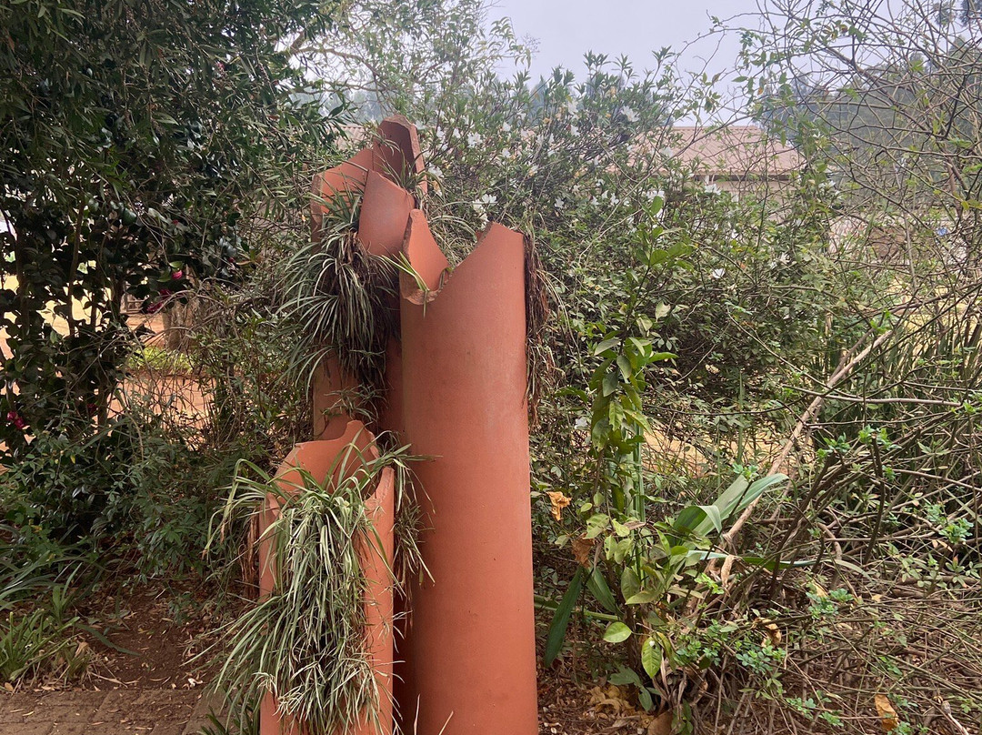 Deo Resta Guest Lodge主图