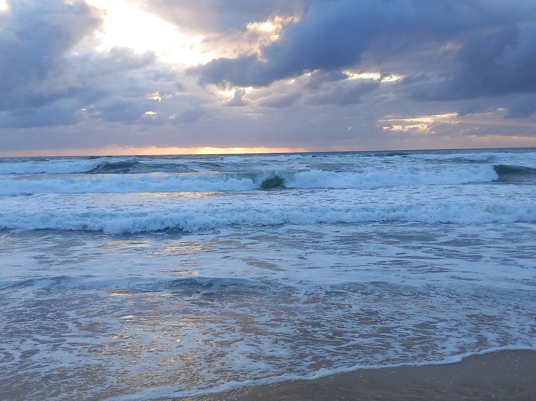 Plage de Moliets景点图片