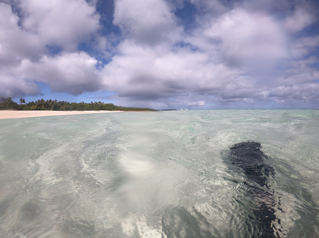 海滩度假酒店主图