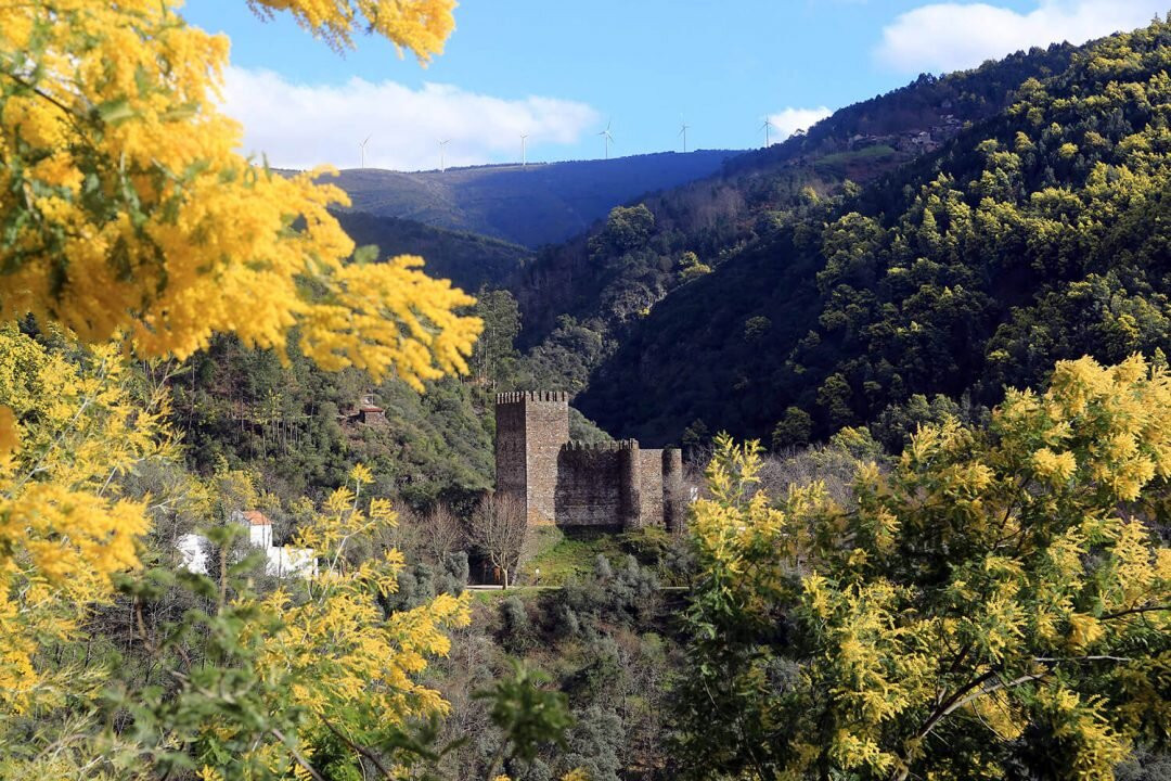 Castelo de Arouce - Lousã景点图片