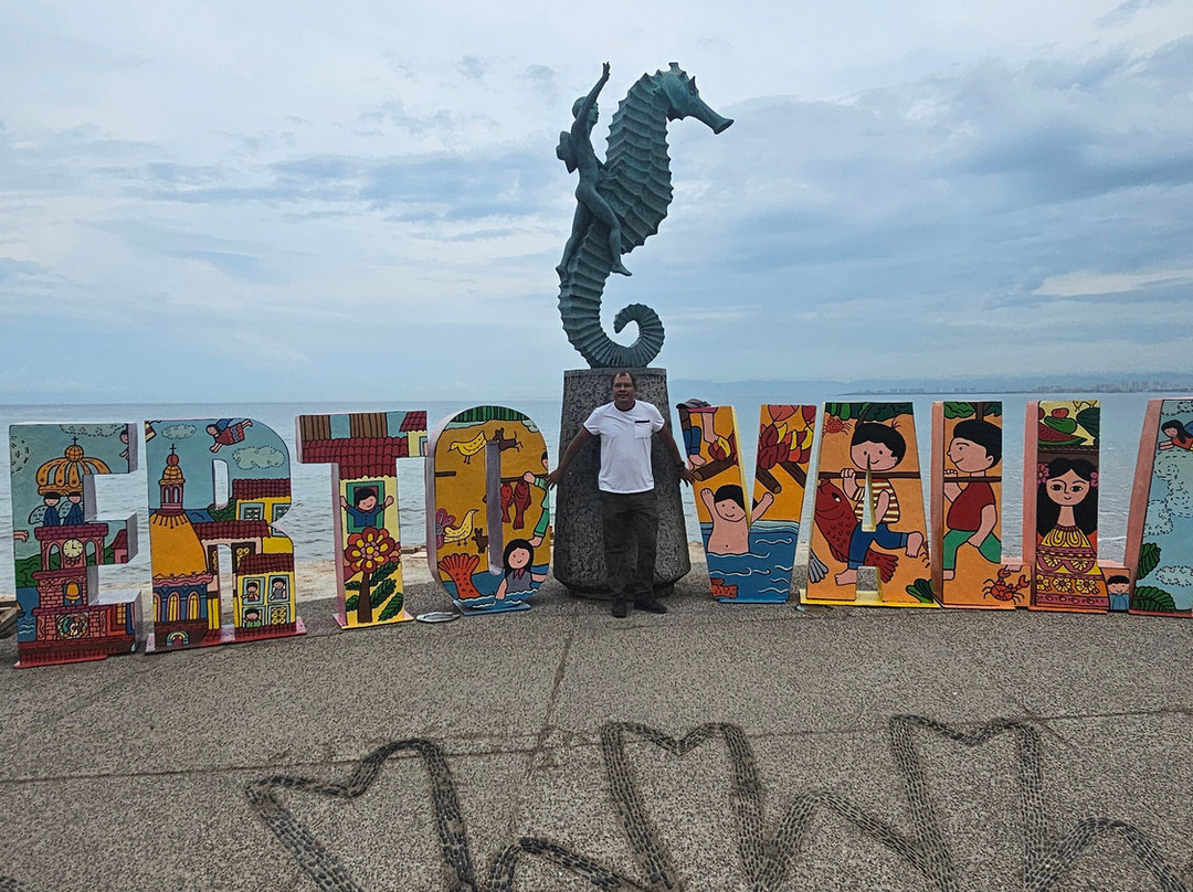 El Centro-瓦拉塔港必去景点