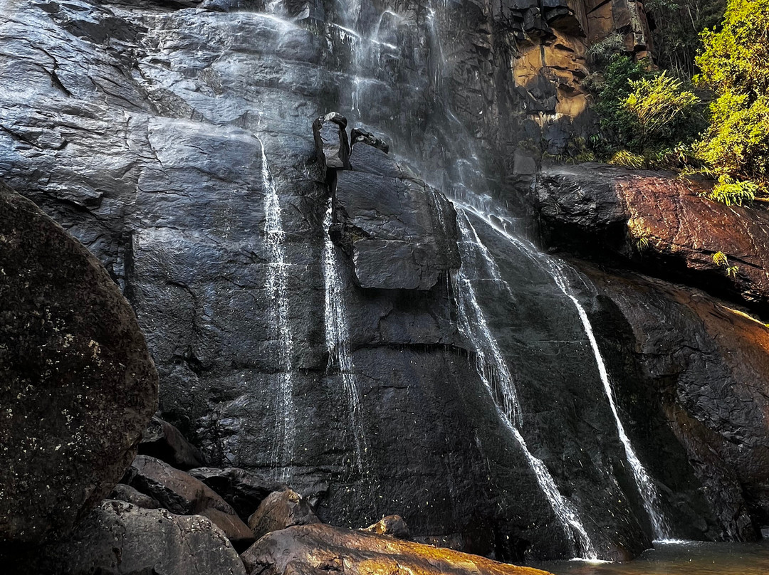 The Labyrinth at The Edge-Hogsback必去景点