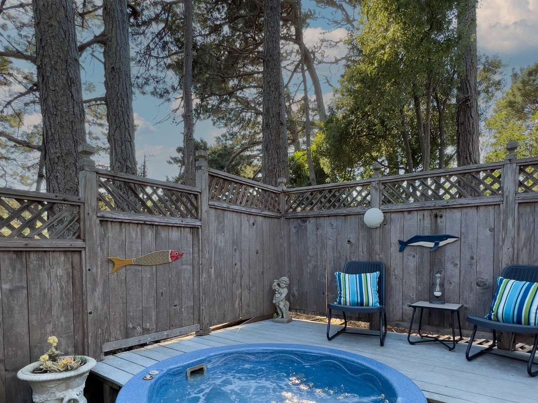 Rendezvous Mendocino主图