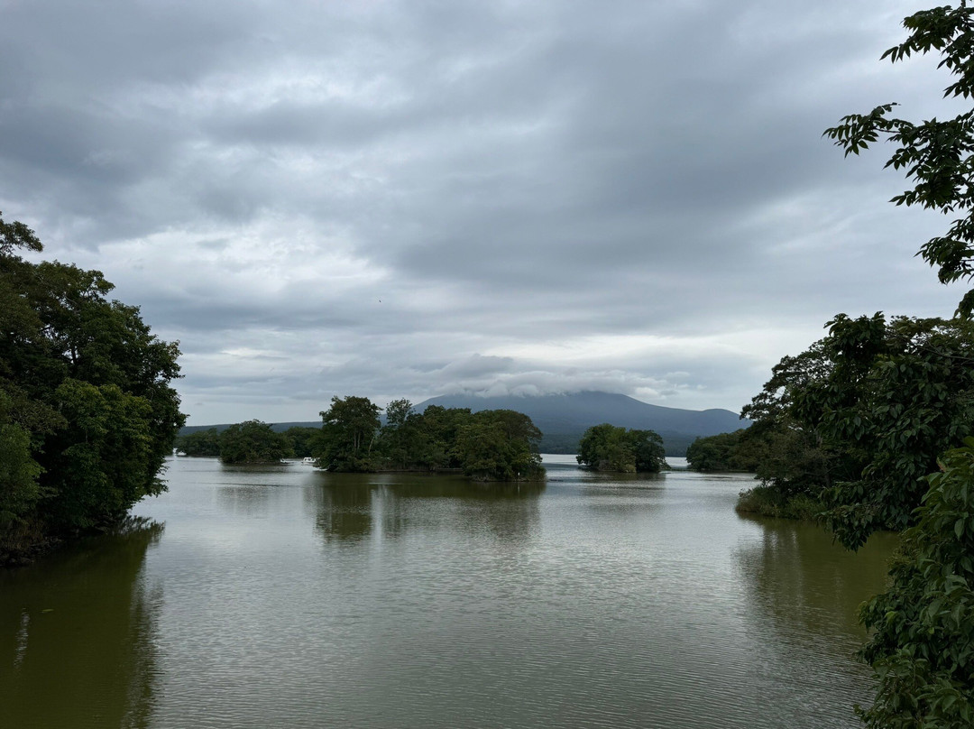 大沼公园人行道-七饭町必去景点