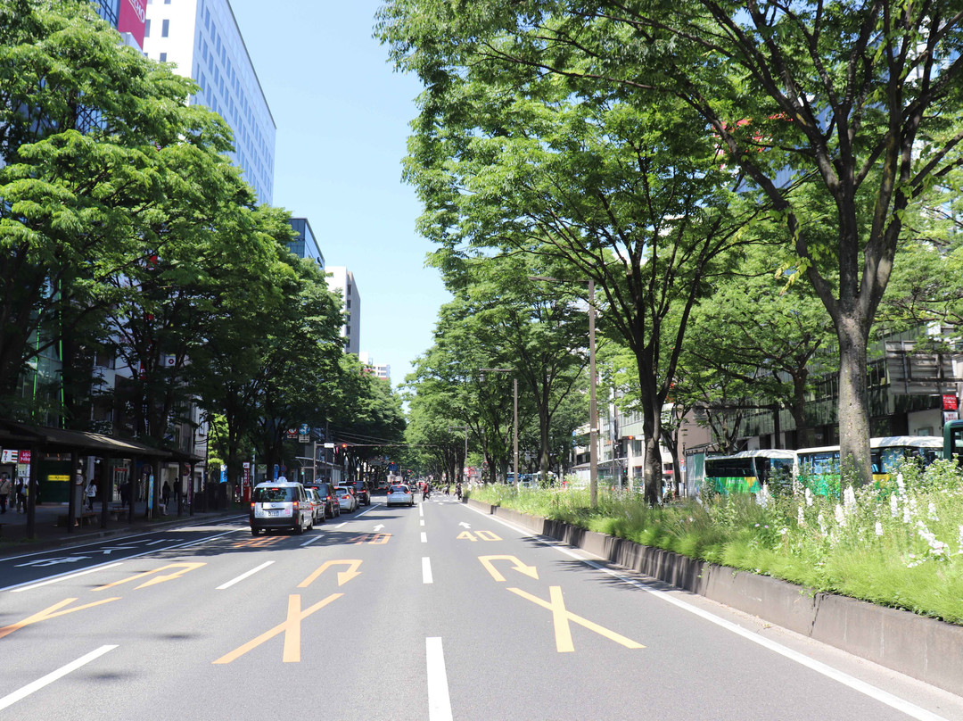 Aoba-dori Avenue-仙台市必去景点