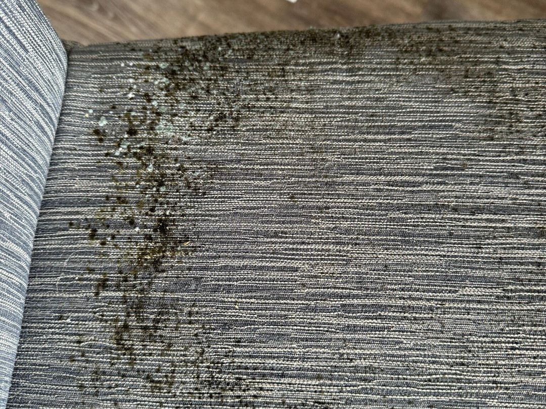 Admiral on Baltimore主图