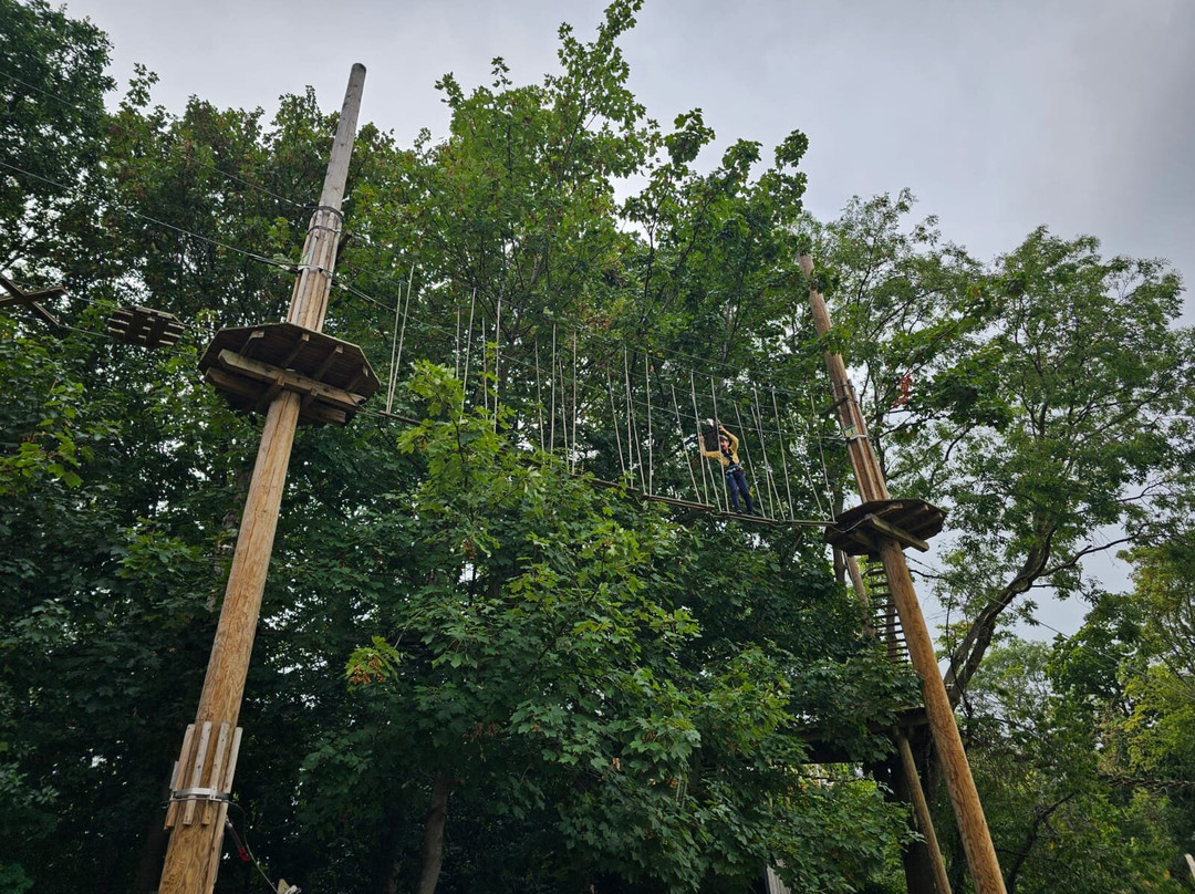 Go Ape Alexandra Palace-伦敦必去景点