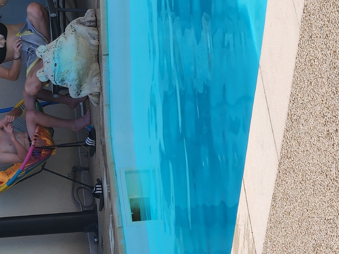 Logis Hôtel l'Oliveraie主图