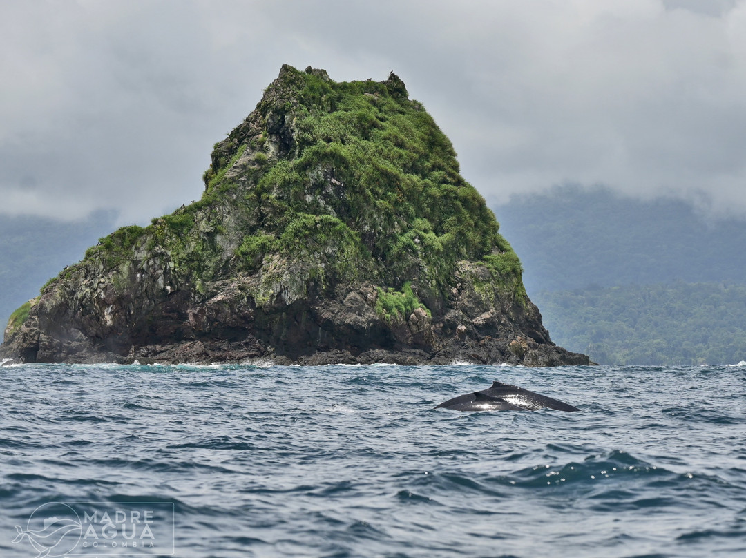 Madre Agua Ecoturismo-Bahia Solano必去景点