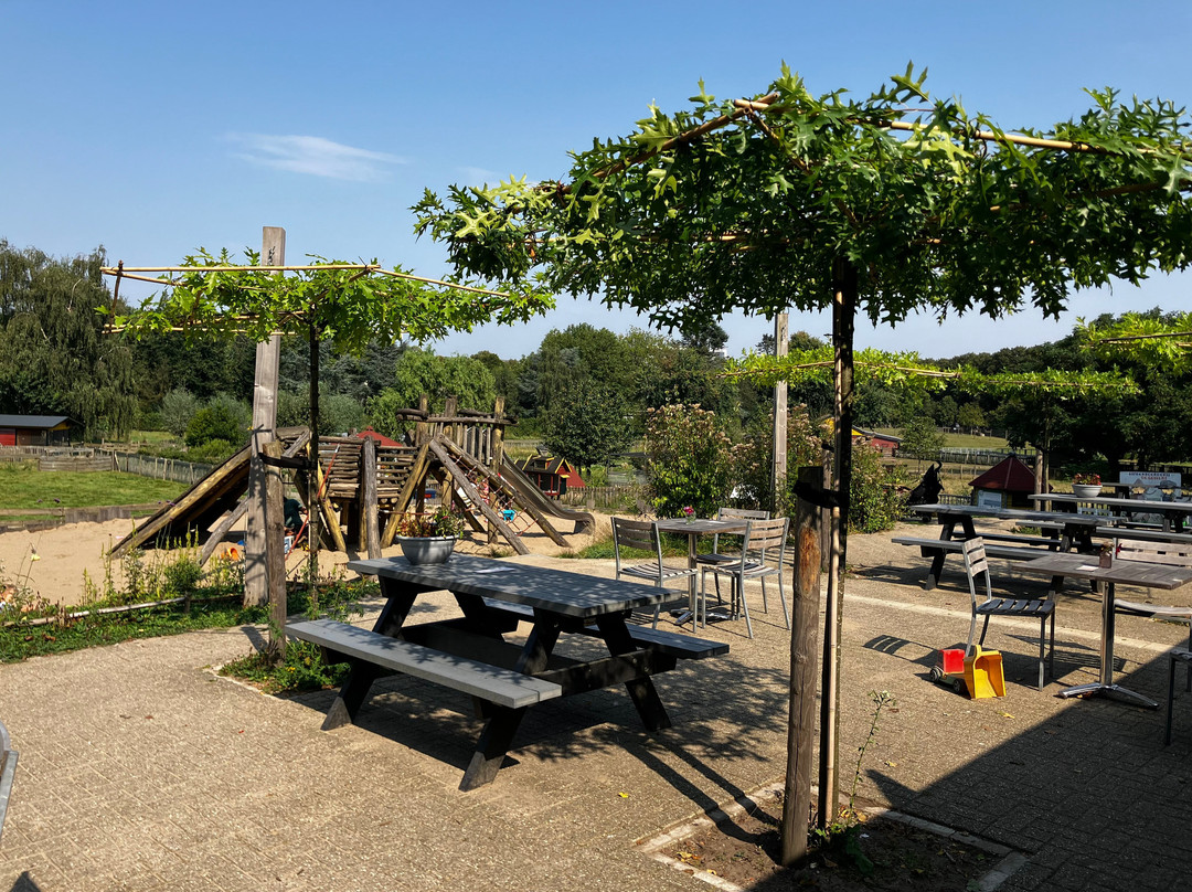 Kinderboerderij de Goffert-奈梅亨必去景点