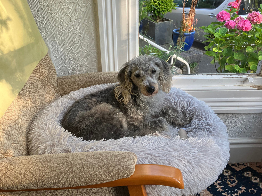 Lyndhurst Guest House主图