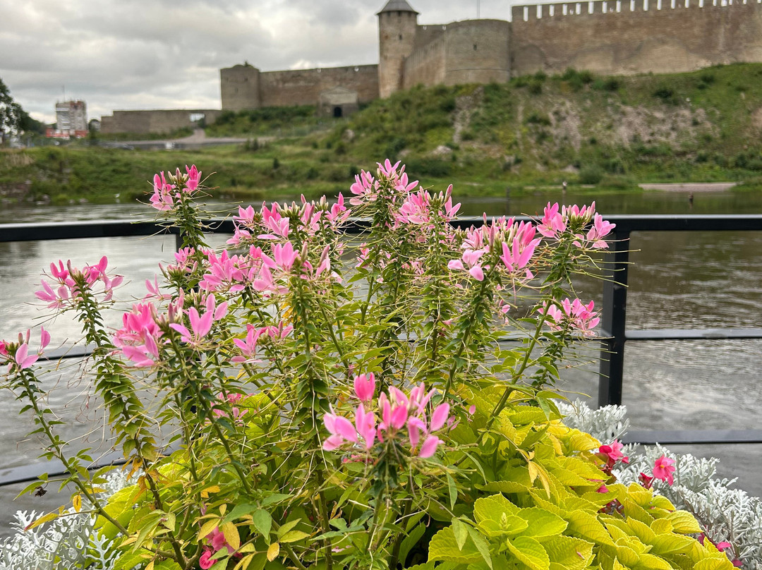 Narva River Promenade-纳尔瓦必去景点
