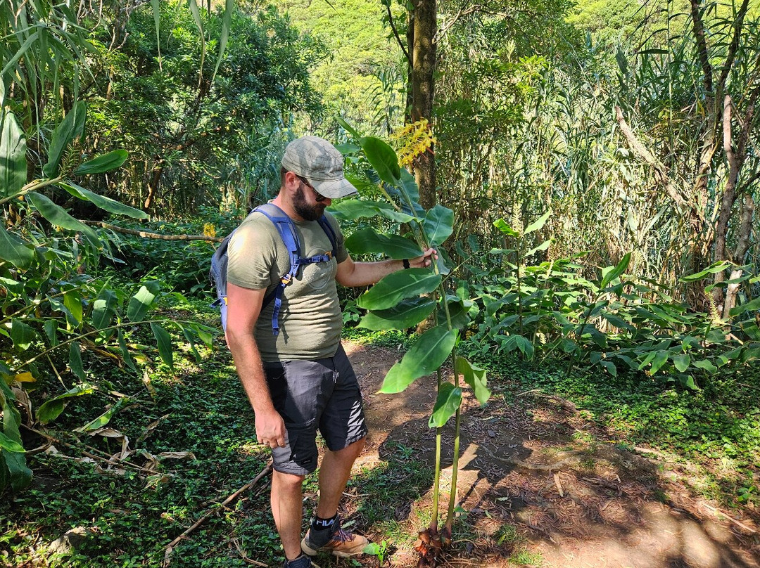 Green Corner Tours-Faja de Baixo必去景点