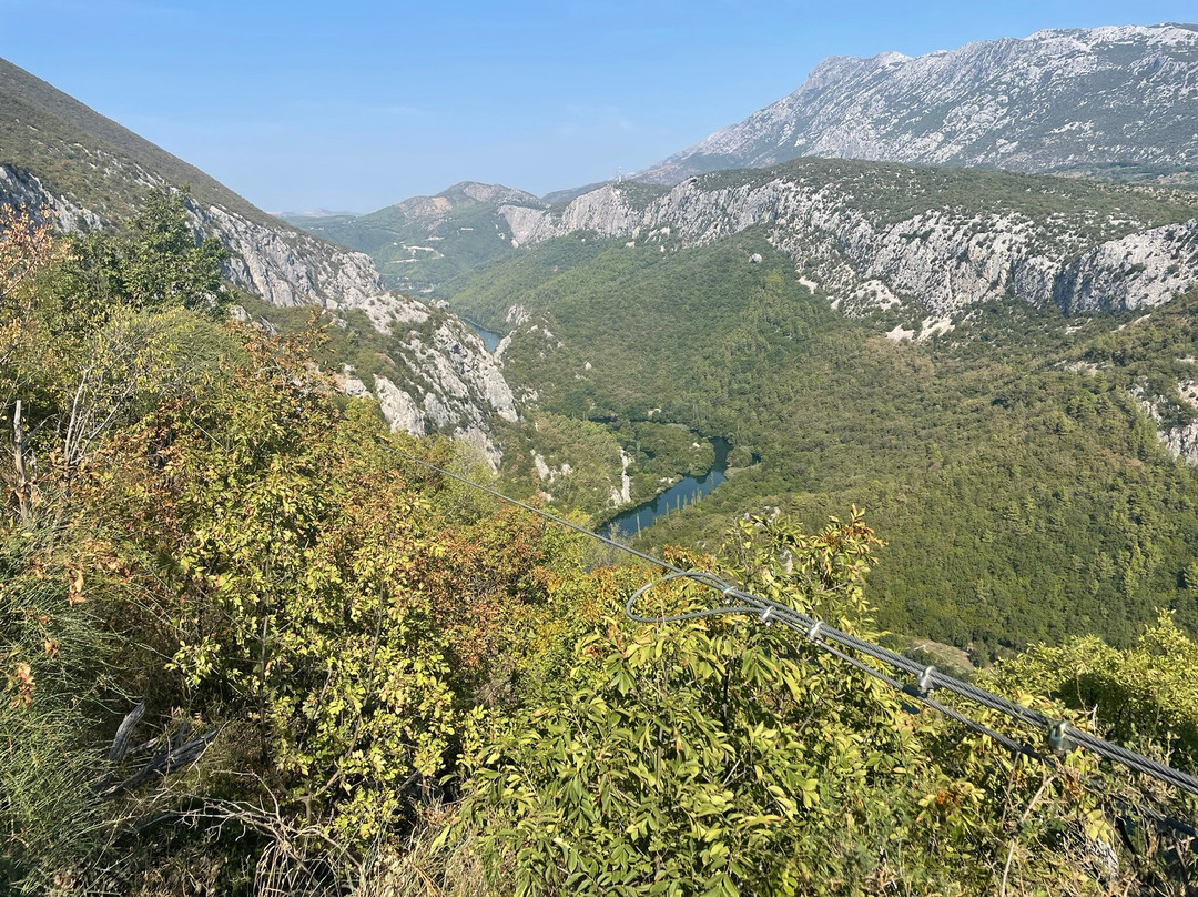 Zipline-奥米斯必去景点