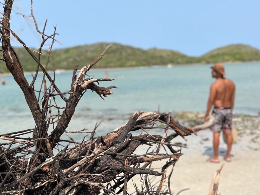 Japones Island-卡布弗里乌必去景点