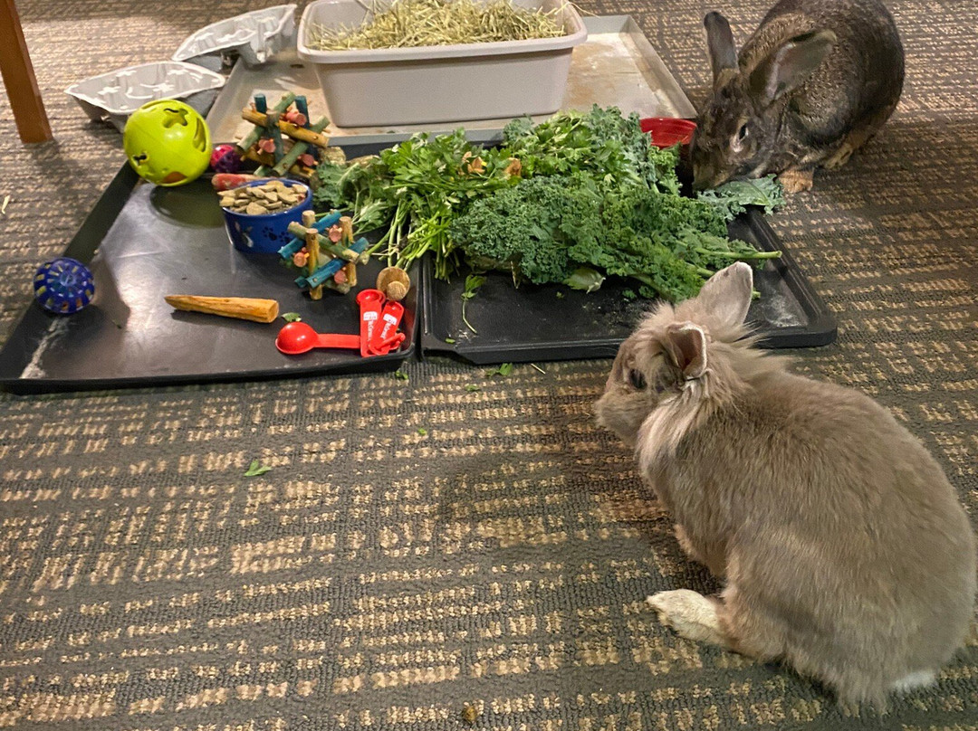 新贝德福德达特茅斯原住客栈主图