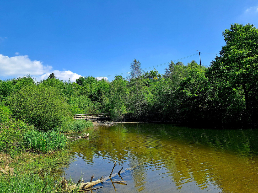 Lac de Robertville景点图片