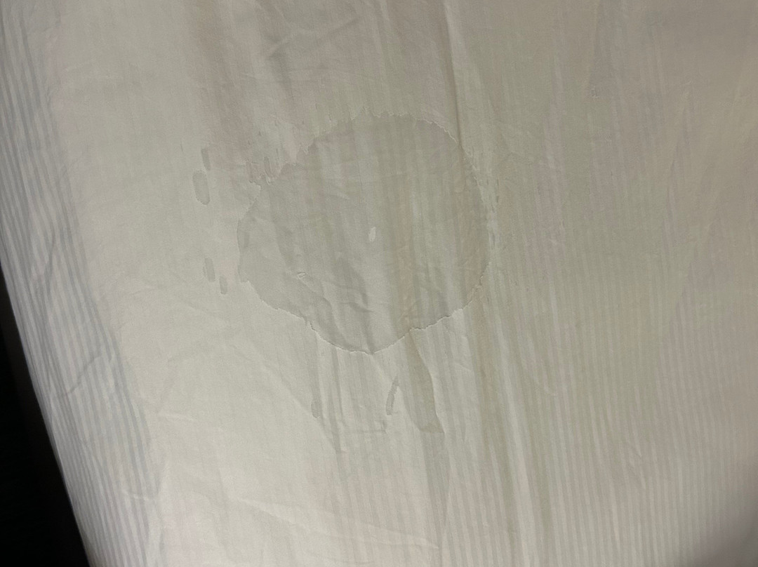 Doubletree By Hilton Chicago Wood Dale - Elk Grove主图