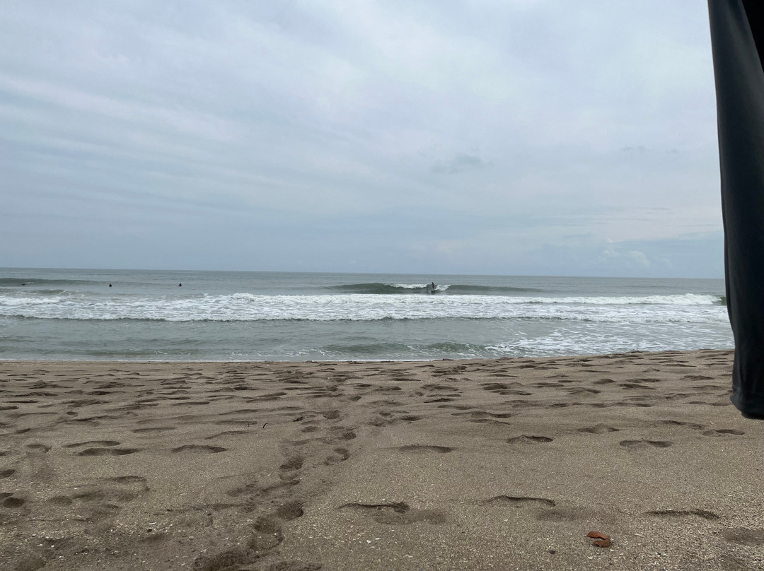 Driftwood Motel主图