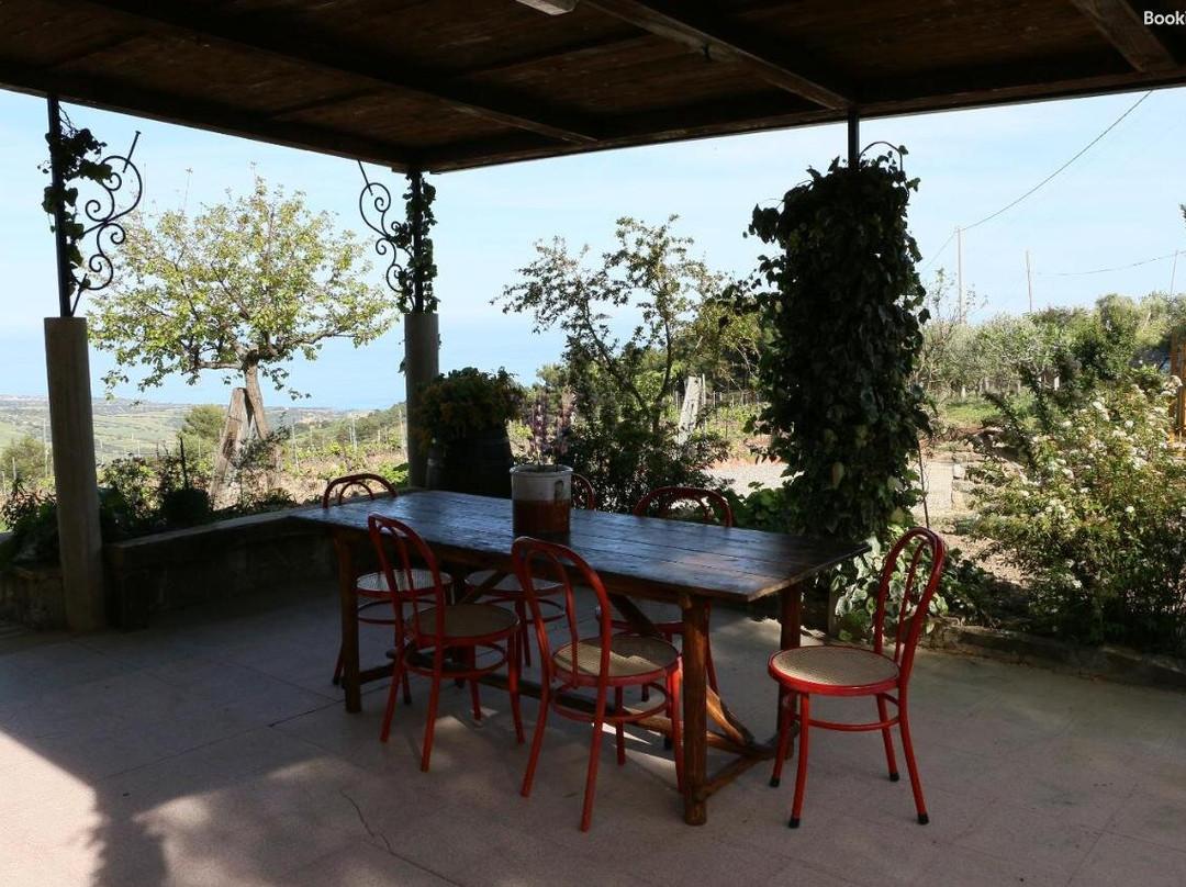 B&B Il Vigneto