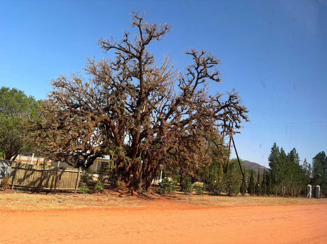 Venterskroon Inn主图