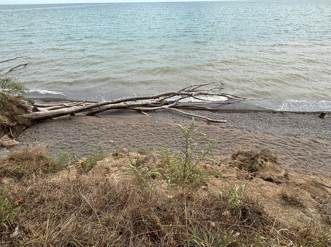 Wheatley Provincial Park景点图片