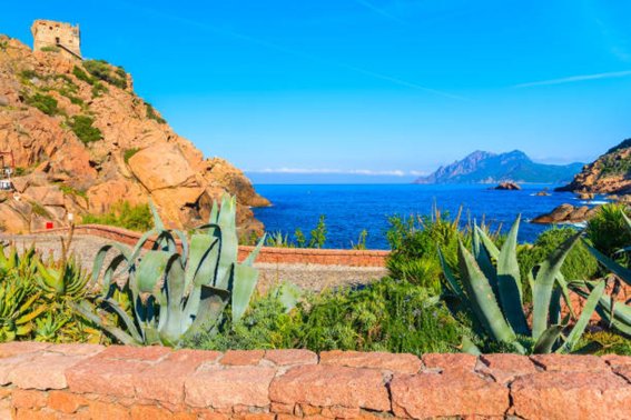 苏布里尼酒店-酒店景观