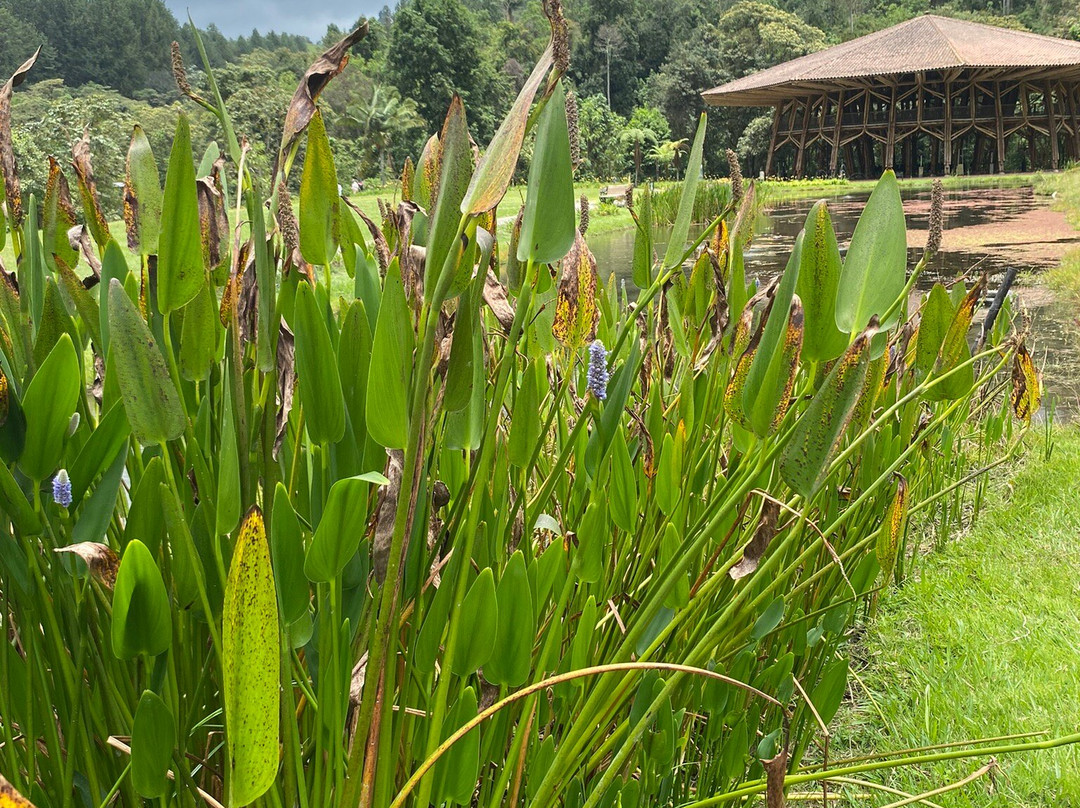 Recinto del Pensamiento-Manizales必去景点