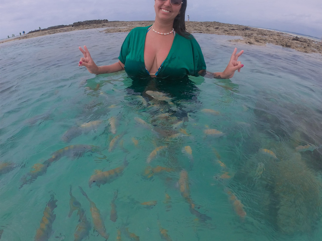 PORTO BUGGY + PORTO FELIZ-嘎林海斯港必去景点