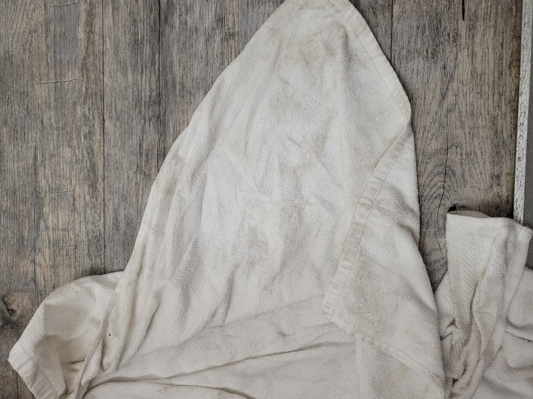 Hotel Pensacola主图