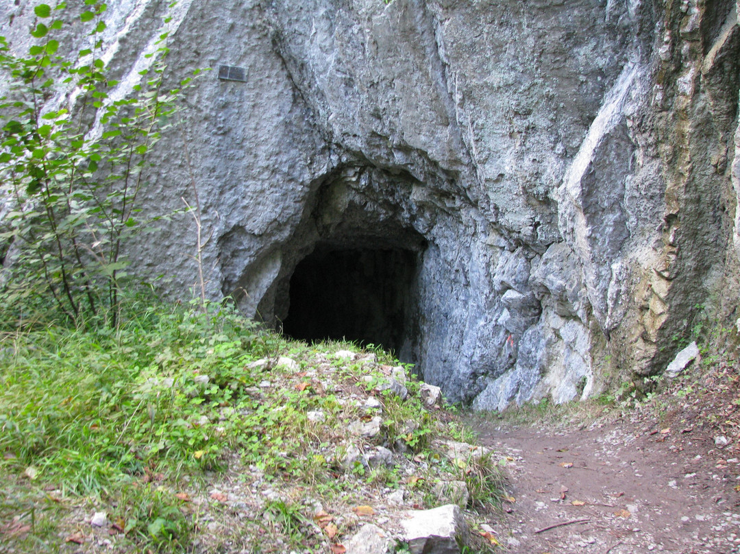 Les Gorges de la Jogne景点图片