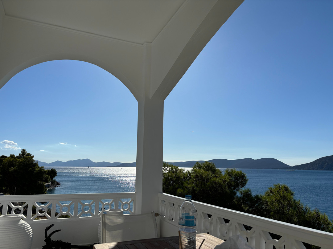 Grand Bleu Collection主图