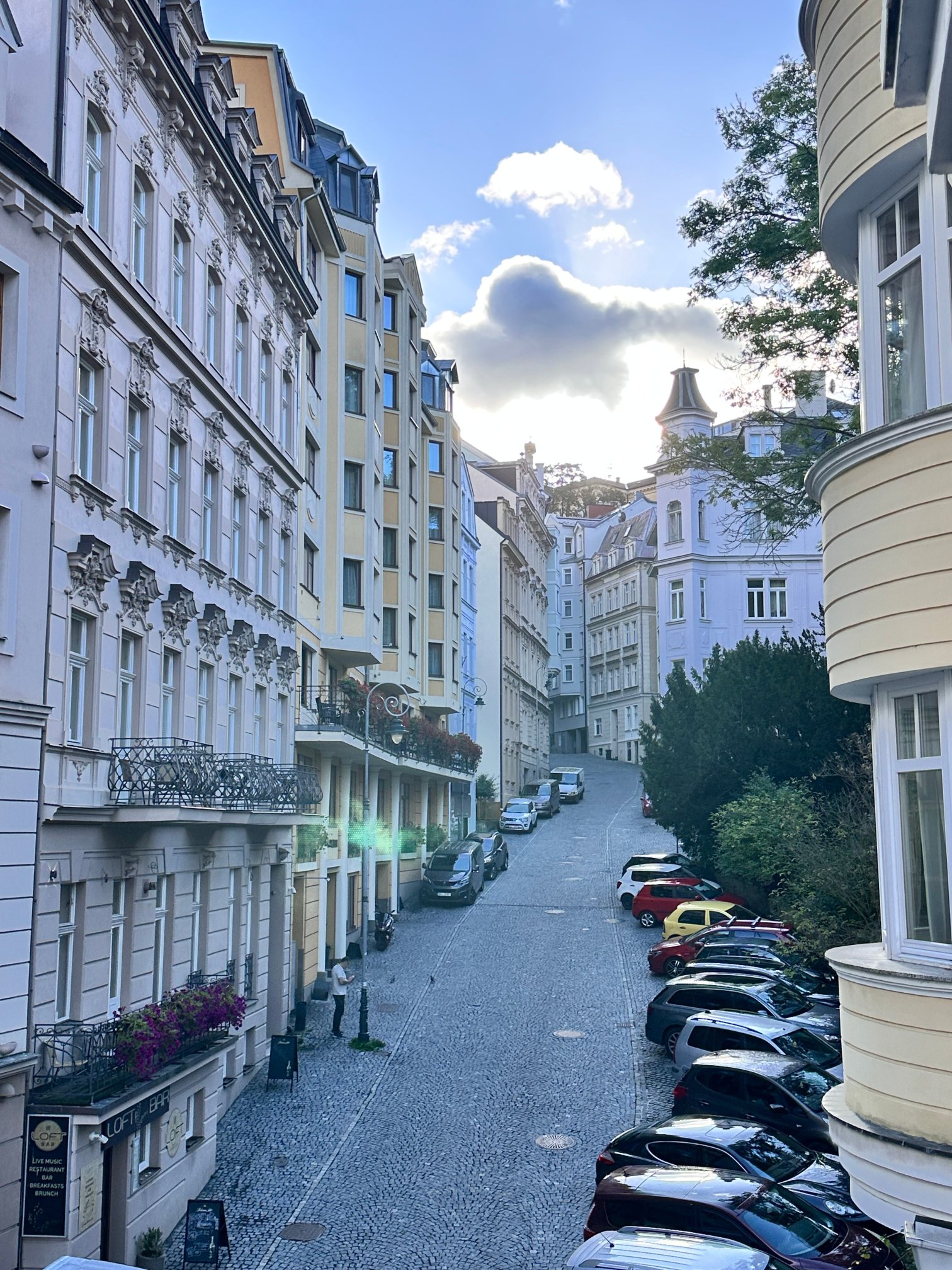 Karlsbad Grande Madonna Spa & Wellness Hotel-酒店景观