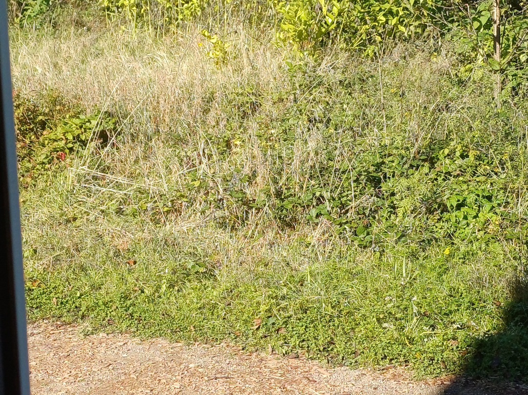 Villa Vontenie主图