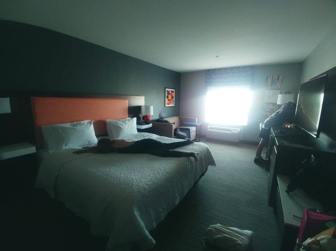 Hampton Inn Suites by Hilton Montreal-Dorval主图