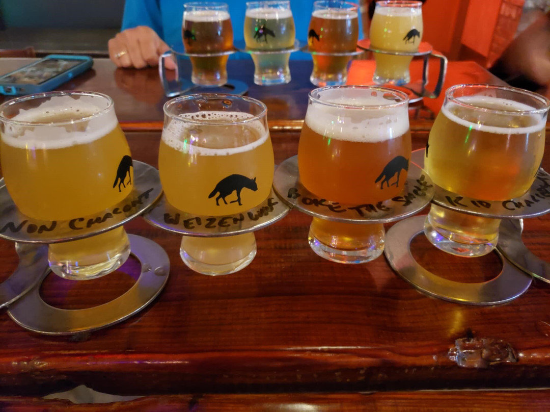 Aardwolf Brewing Company-杰克逊维尔必去景点