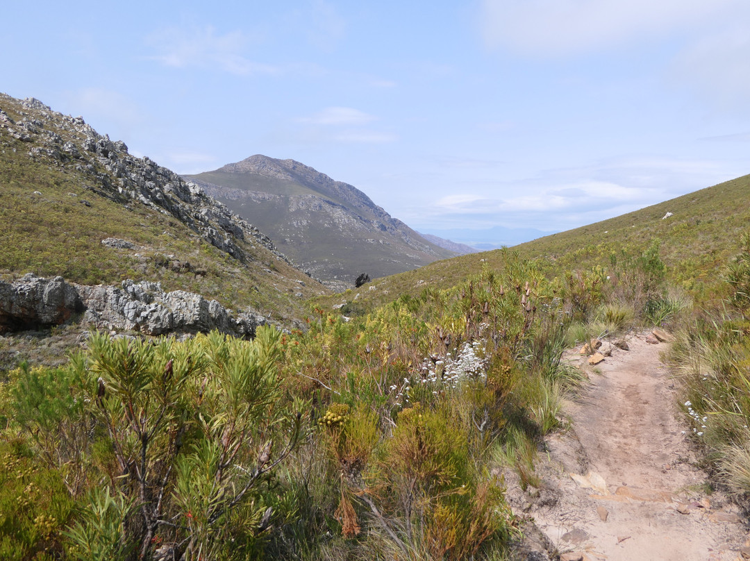 Mont Rochelle Nature Reserve-法兰舒克必去景点